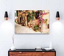 Obraz Kvety na stene zs1125